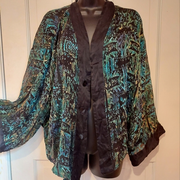 Sheer button down - Picture 2 of 6